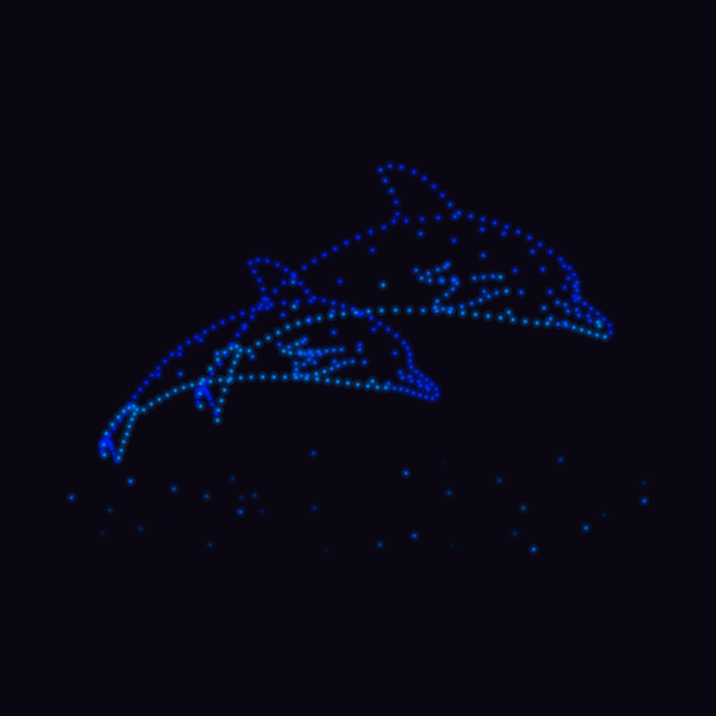 Dauphin Mayotte