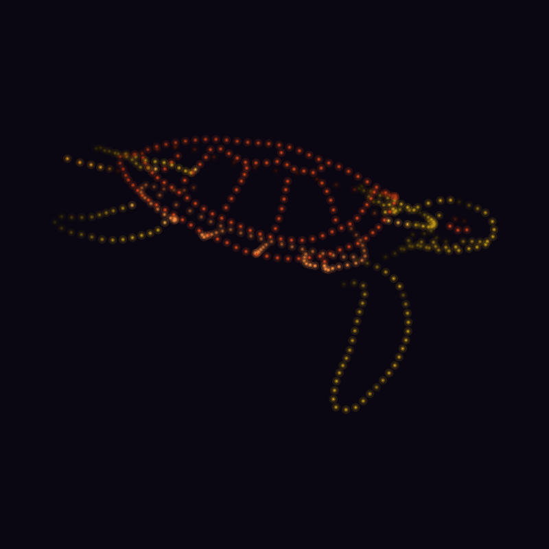 Tortue Mayotte