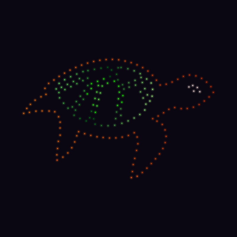 Tortue Sixfours